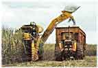 Link and harvesting in Santa Fe area