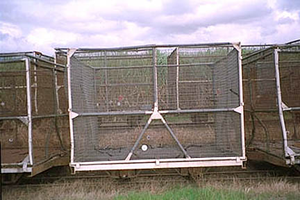 4 ton bin 1