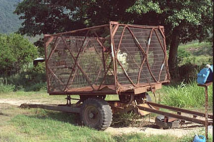 4 ton bin on trailer