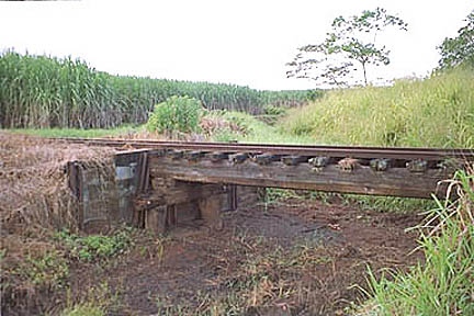 Small timber bridge