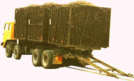 3 bins on truck