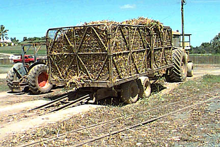 Bins on trailer
