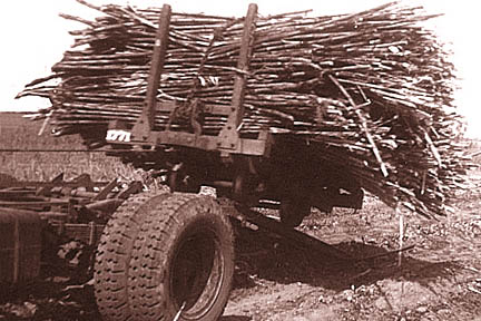 Winching bin onto truck