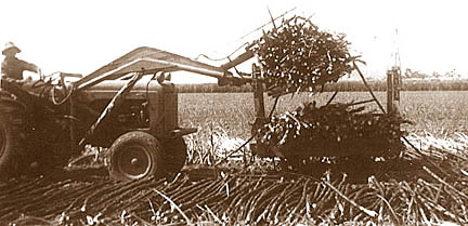 Loading whole stick